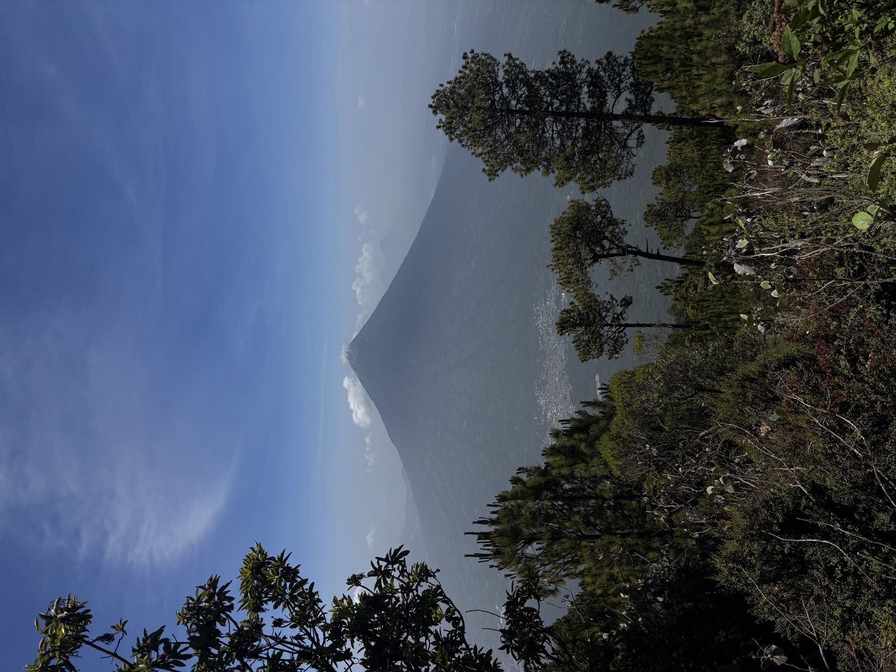 Volcano cone seen from a pine trail under a hazy sky