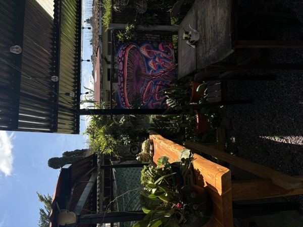 Hostel patio with graffiti